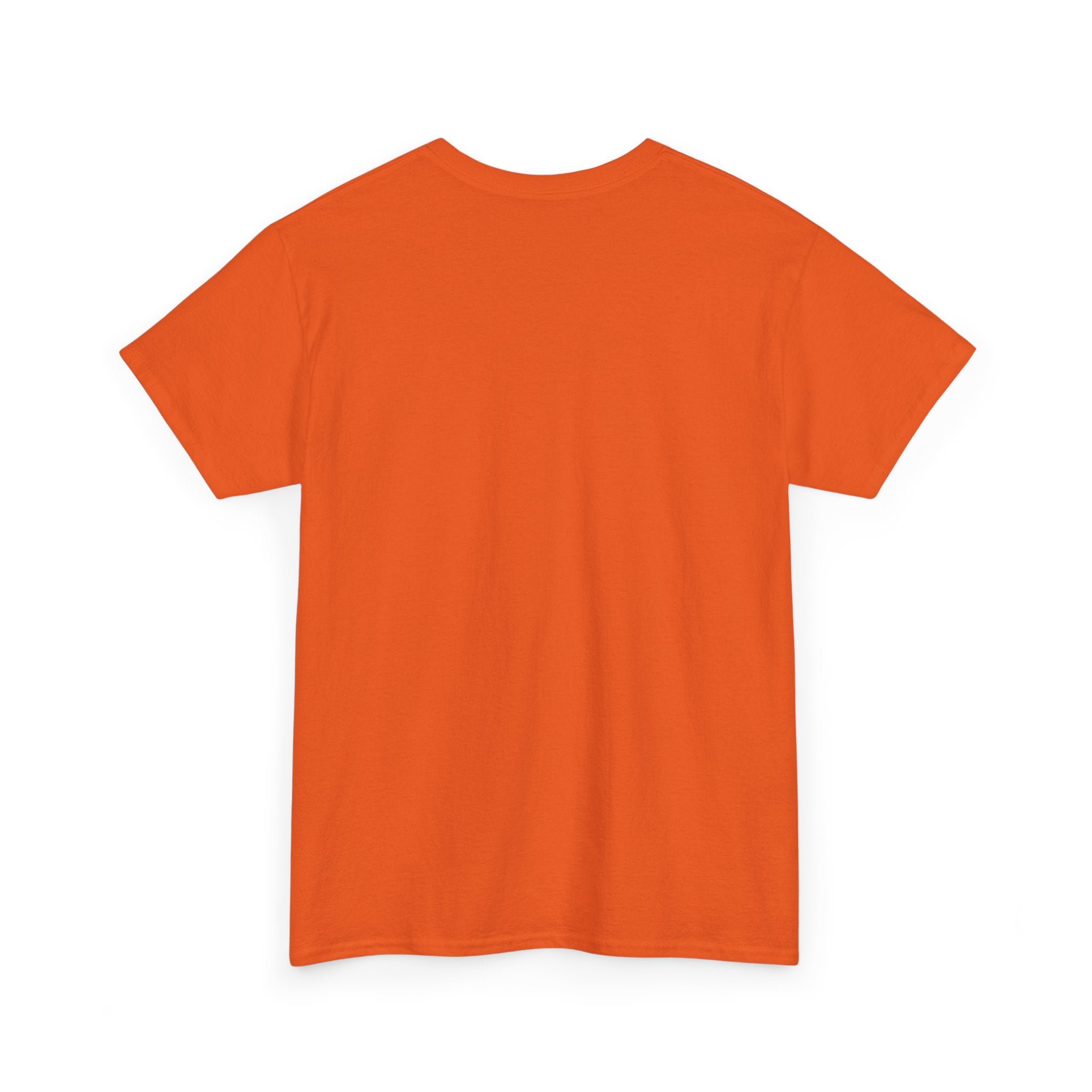 Branson Missouri T‑Shirt — "I Found Joy in Branson" Souvenir Tee