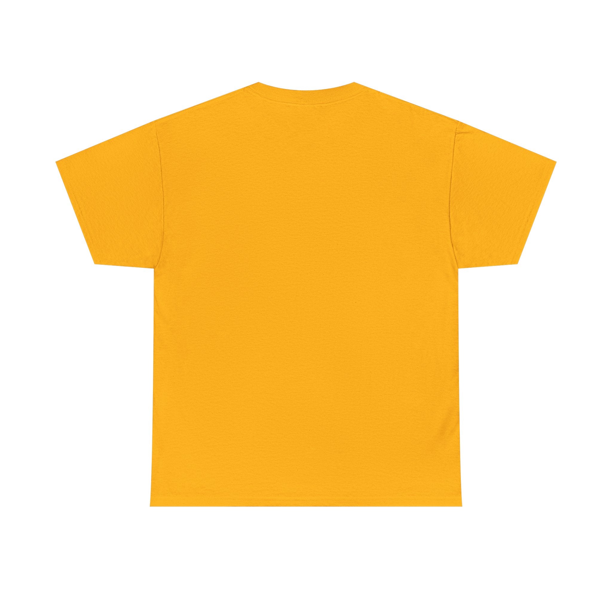Branson Missouri T‑Shirt — "I Found Joy in Branson" Souvenir Tee