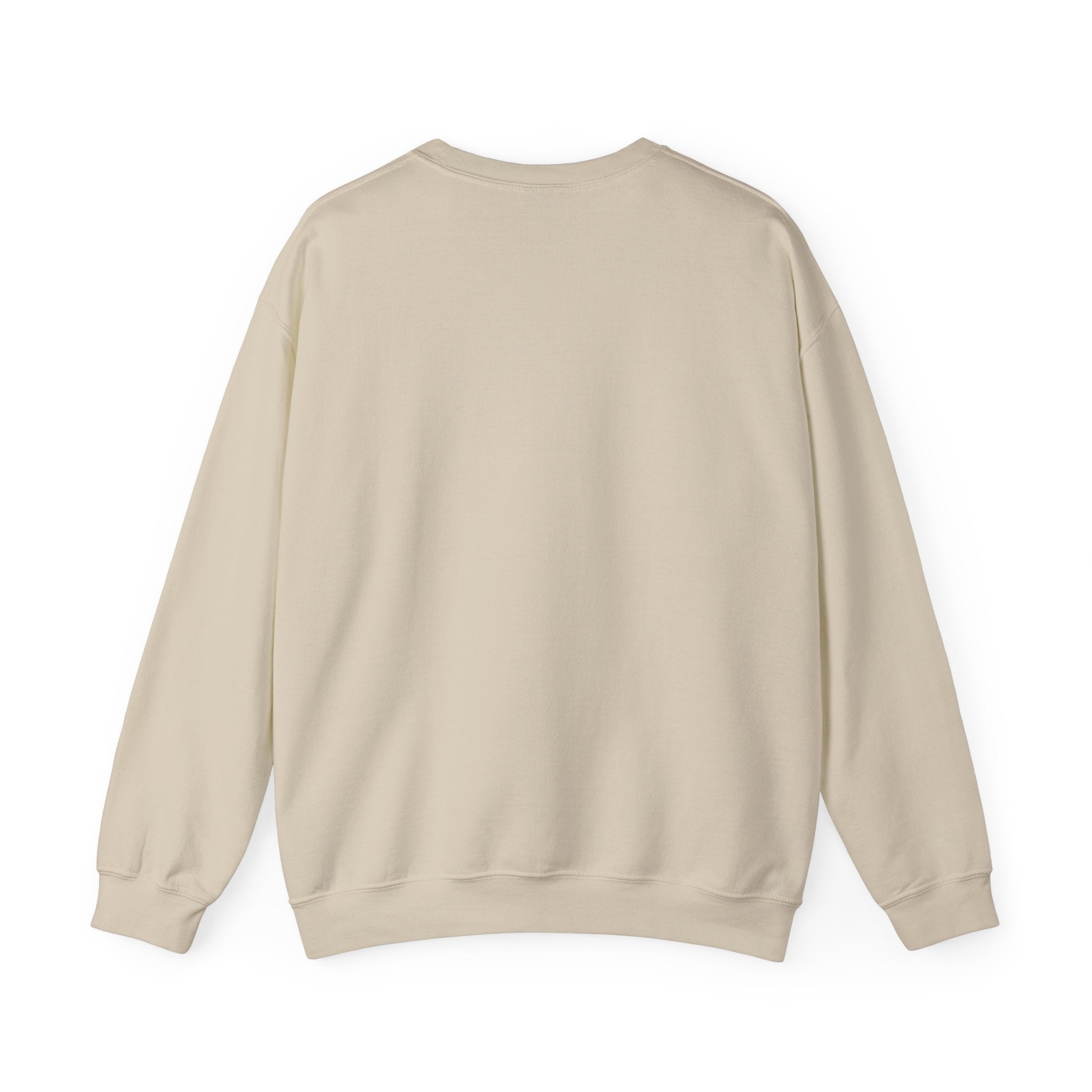 Revere Beach Sweatshirt — “I Found Joy on Revere Beach” Travel Souvenir Crewneck