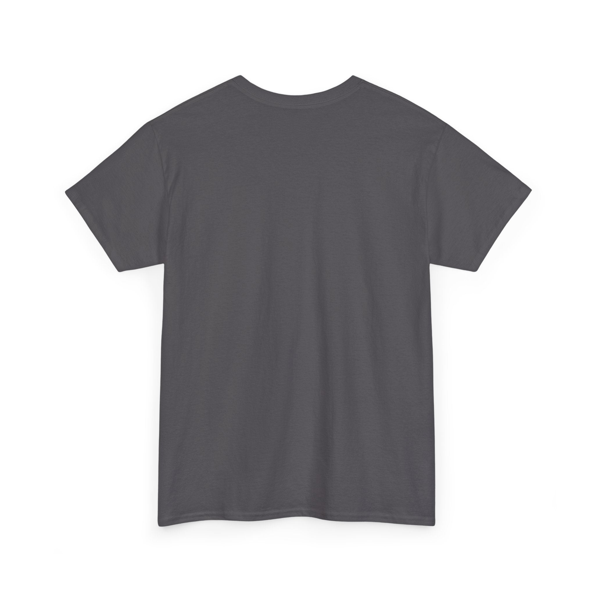 Branson Missouri T‑Shirt — "I Found Joy in Branson" Souvenir Tee