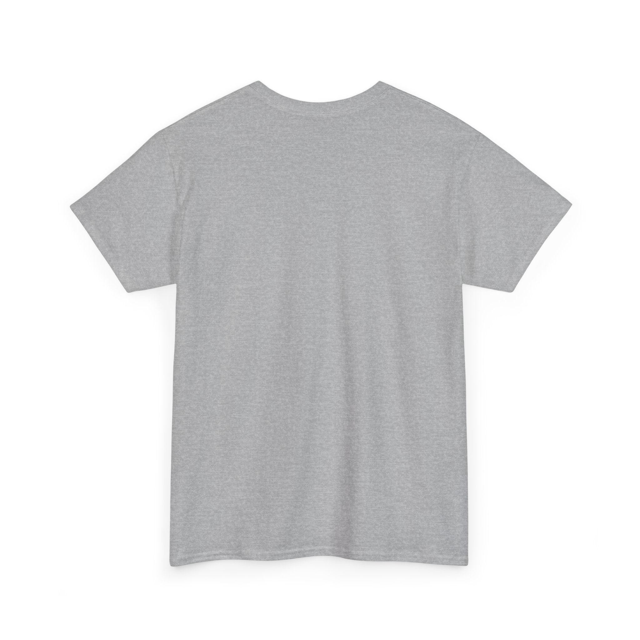 Branson Missouri T‑Shirt — "I Found Joy in Branson" Souvenir Tee