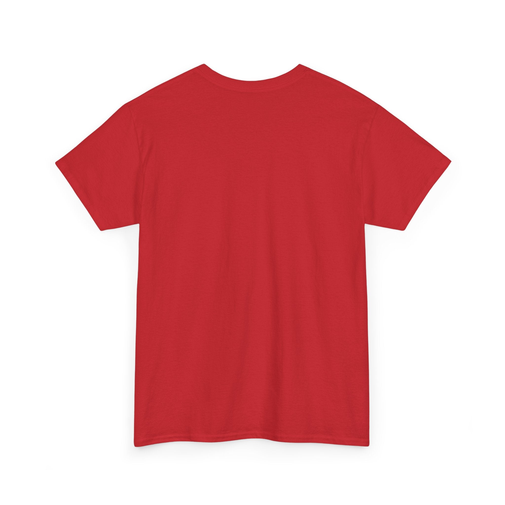 Branson Missouri T‑Shirt — "I Found Joy in Branson" Souvenir Tee