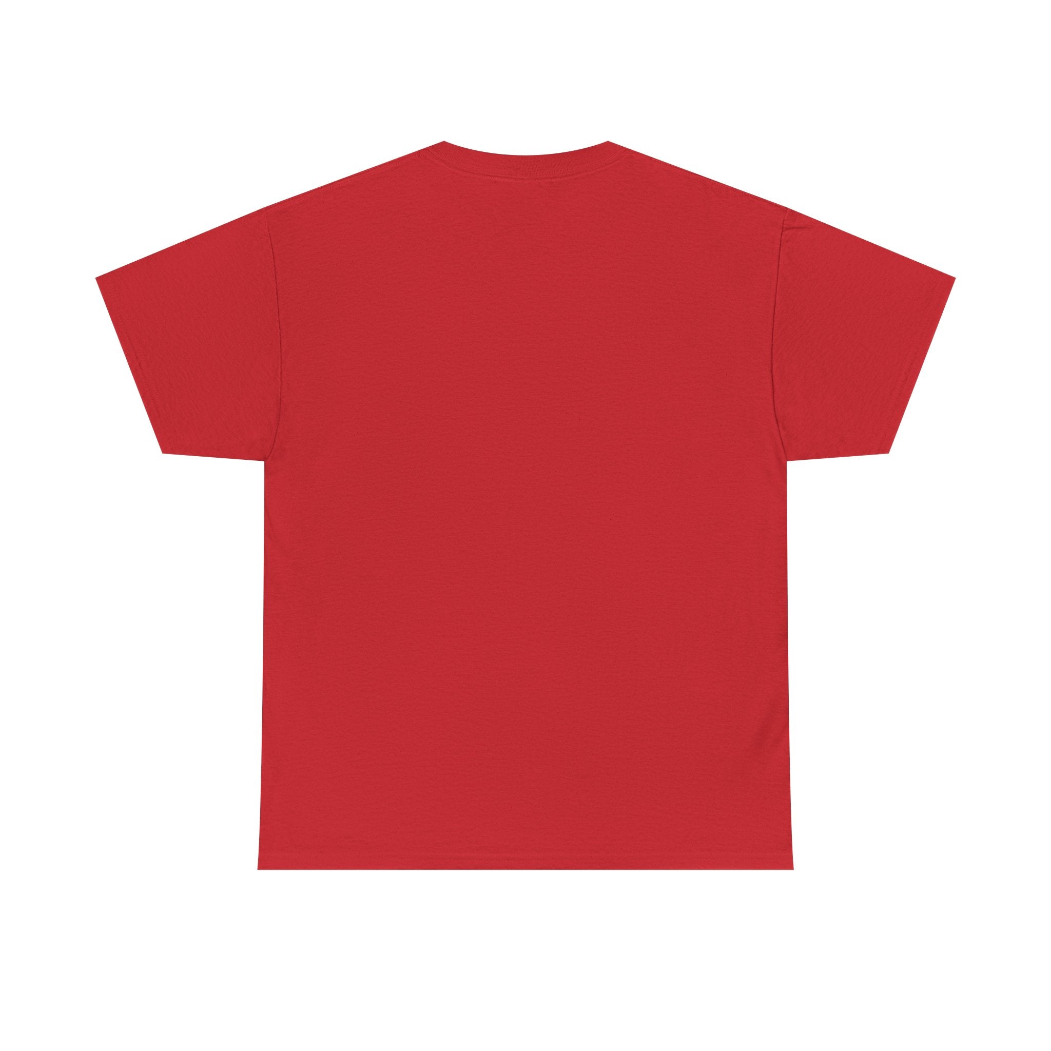 Branson Missouri T‑Shirt — "I Found Joy in Branson" Souvenir Tee