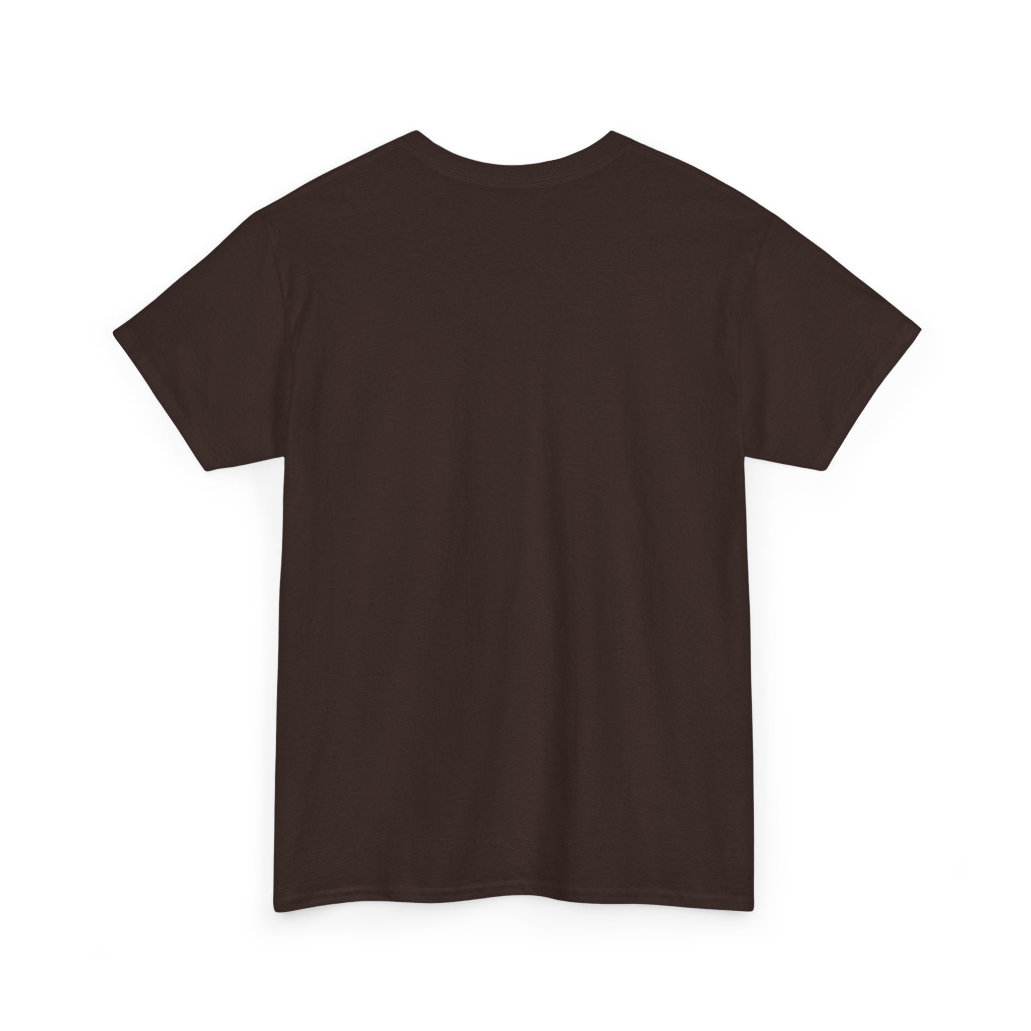 Branson Missouri T‑Shirt — "I Found Joy in Branson" Souvenir Tee