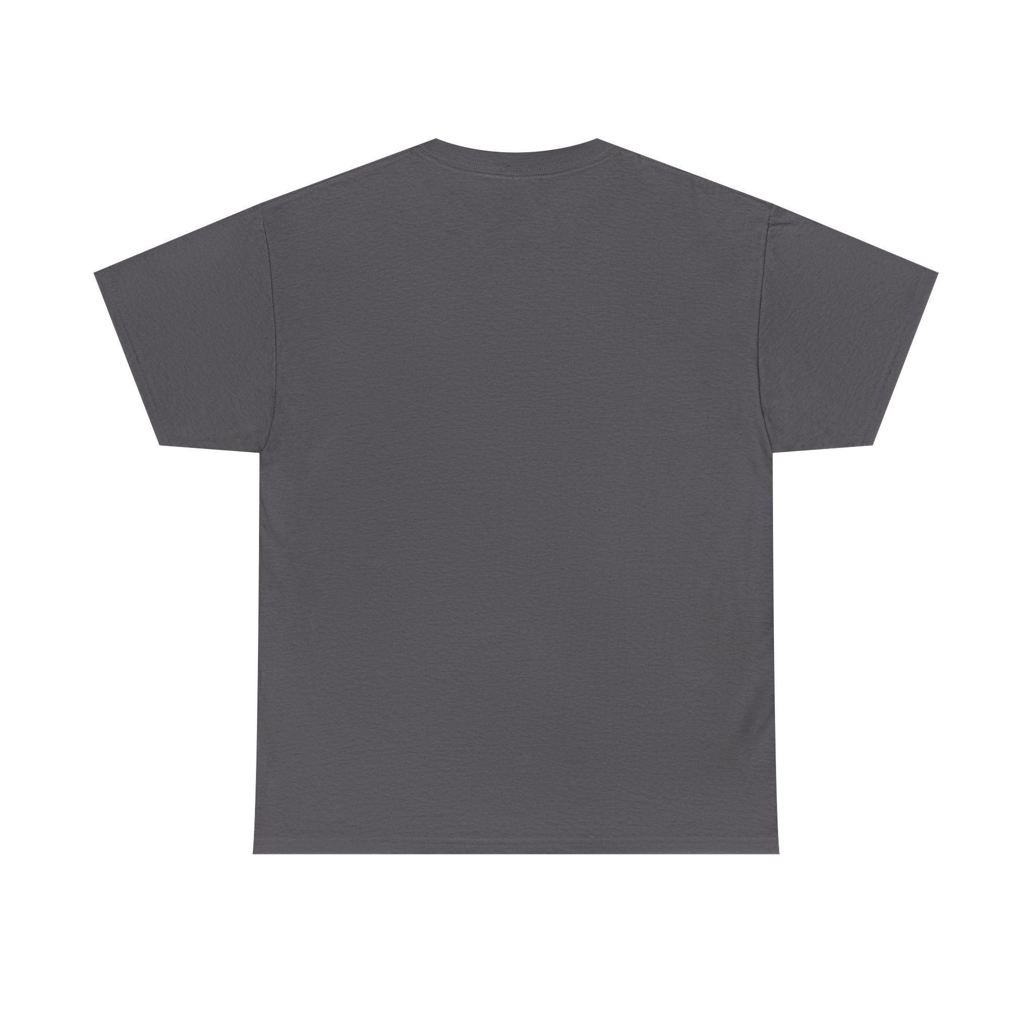 Branson Missouri T‑Shirt — "I Found Joy in Branson" Souvenir Tee