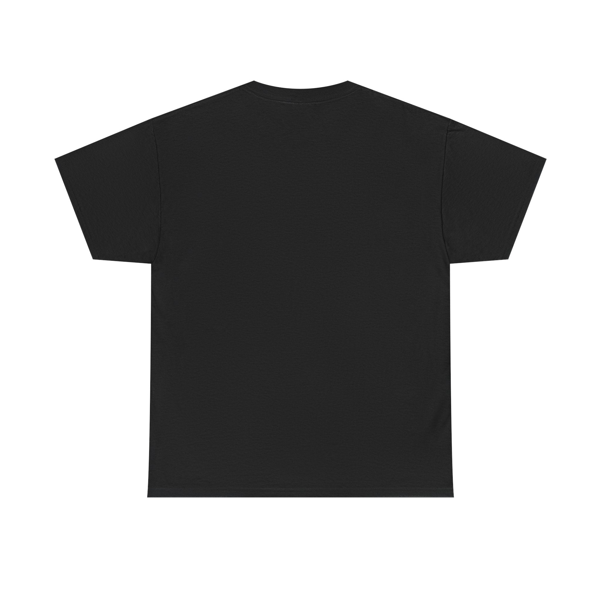 Branson Missouri T‑Shirt — "I Found Joy in Branson" Souvenir Tee