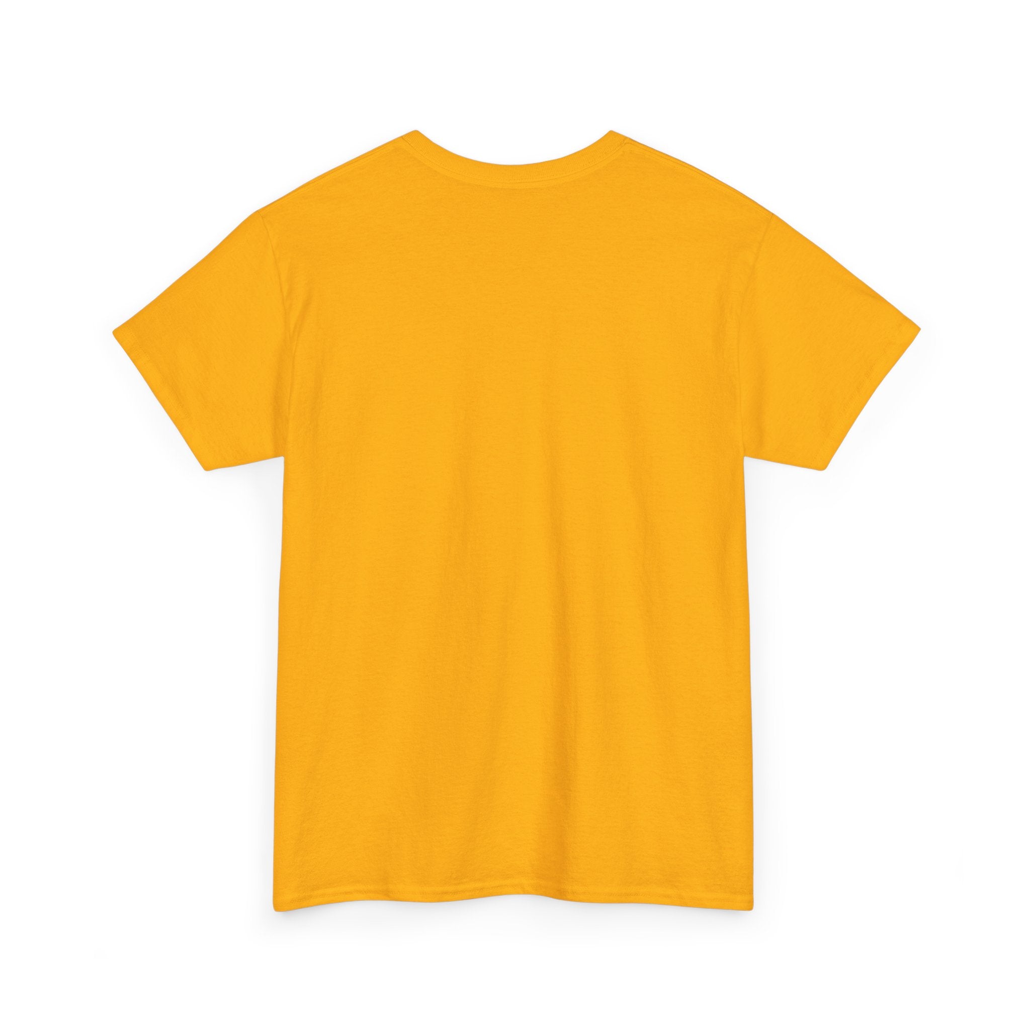 Branson Missouri T‑Shirt — "I Found Joy in Branson" Souvenir Tee