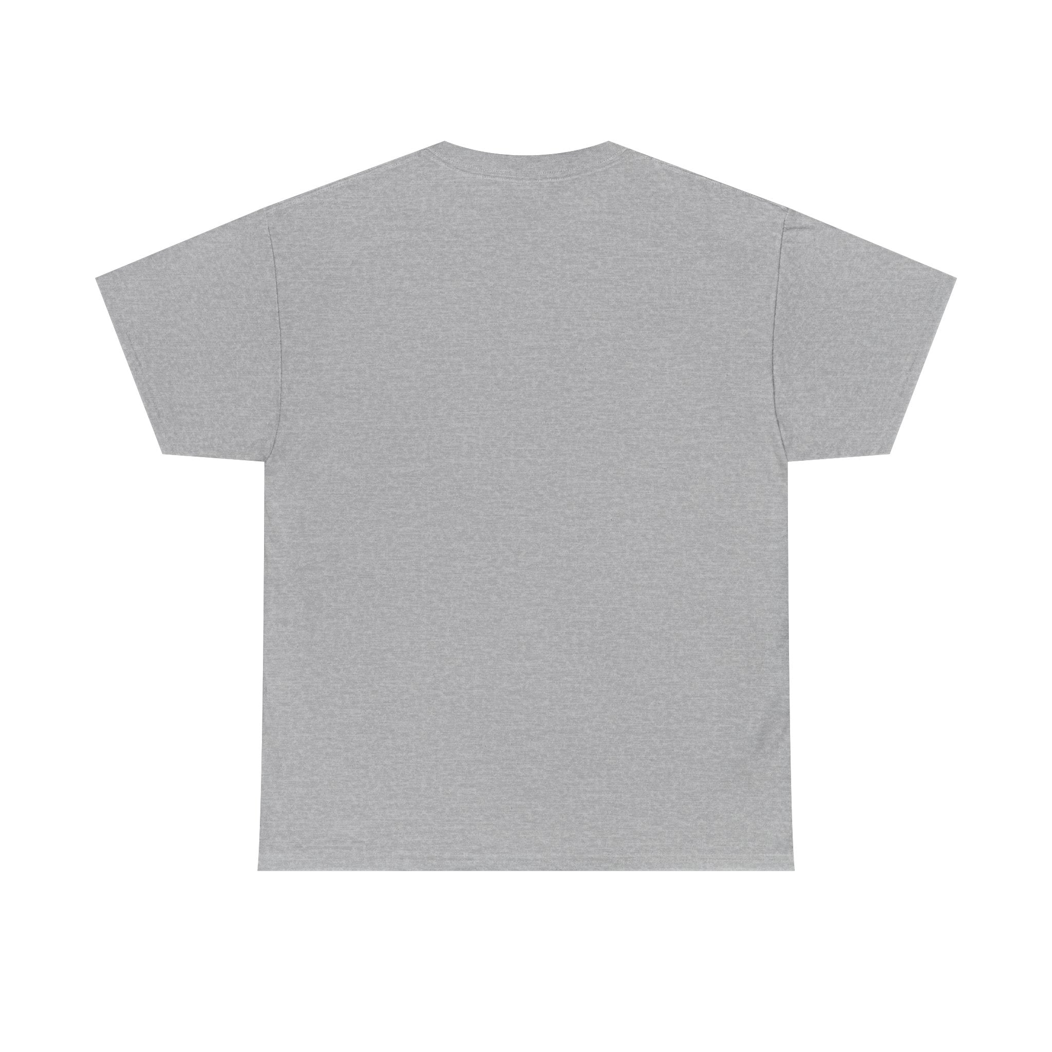 Branson Missouri T‑Shirt — "I Found Joy in Branson" Souvenir Tee