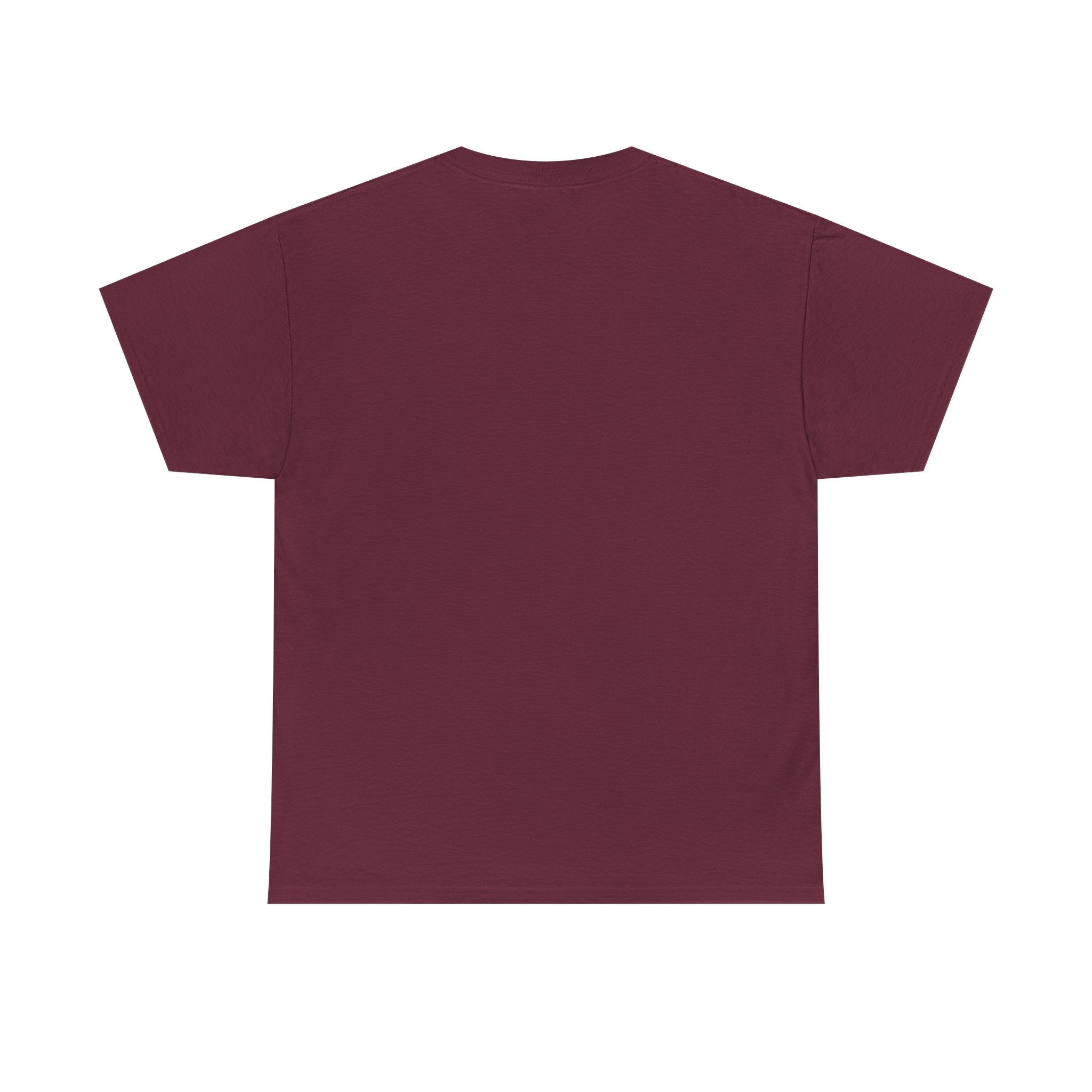 Branson Missouri T‑Shirt — "I Found Joy in Branson" Souvenir Tee