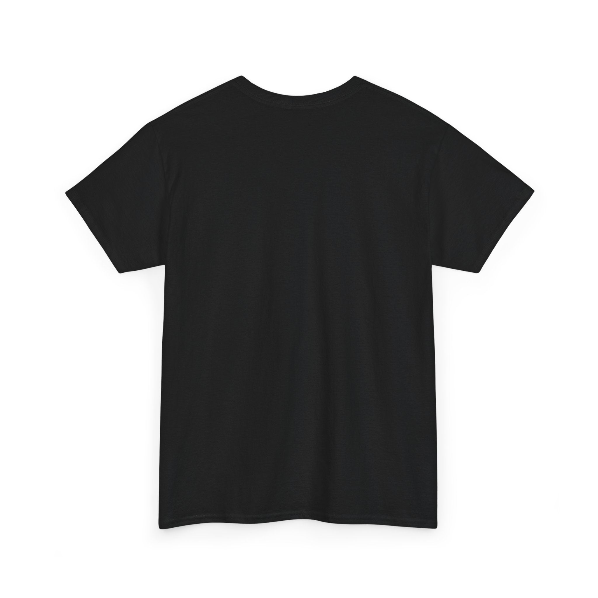 Branson Missouri T‑Shirt — "I Found Joy in Branson" Souvenir Tee