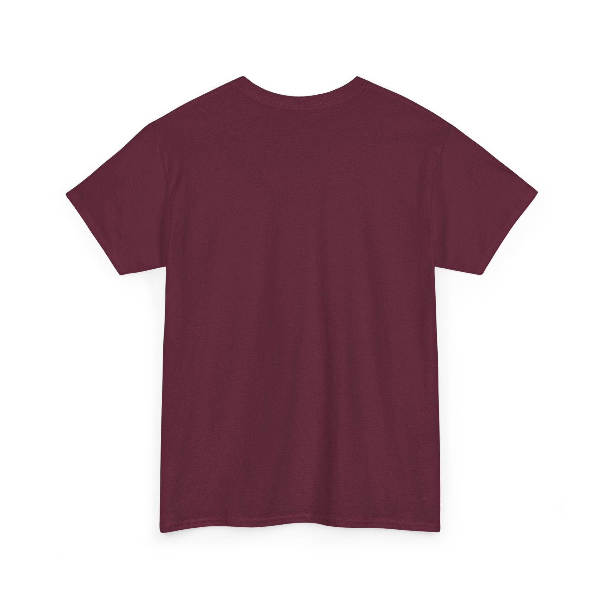 Branson Missouri T‑Shirt — "I Found Joy in Branson" Souvenir Tee