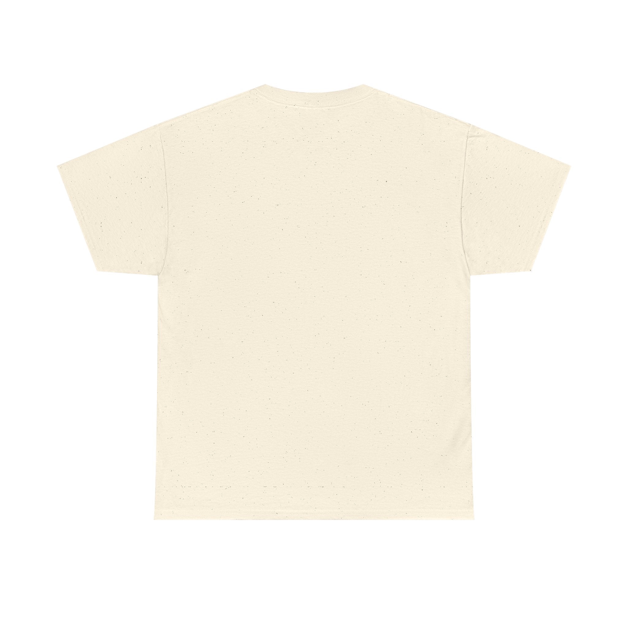 Branson Missouri T‑Shirt — "I Found Joy in Branson" Souvenir Tee