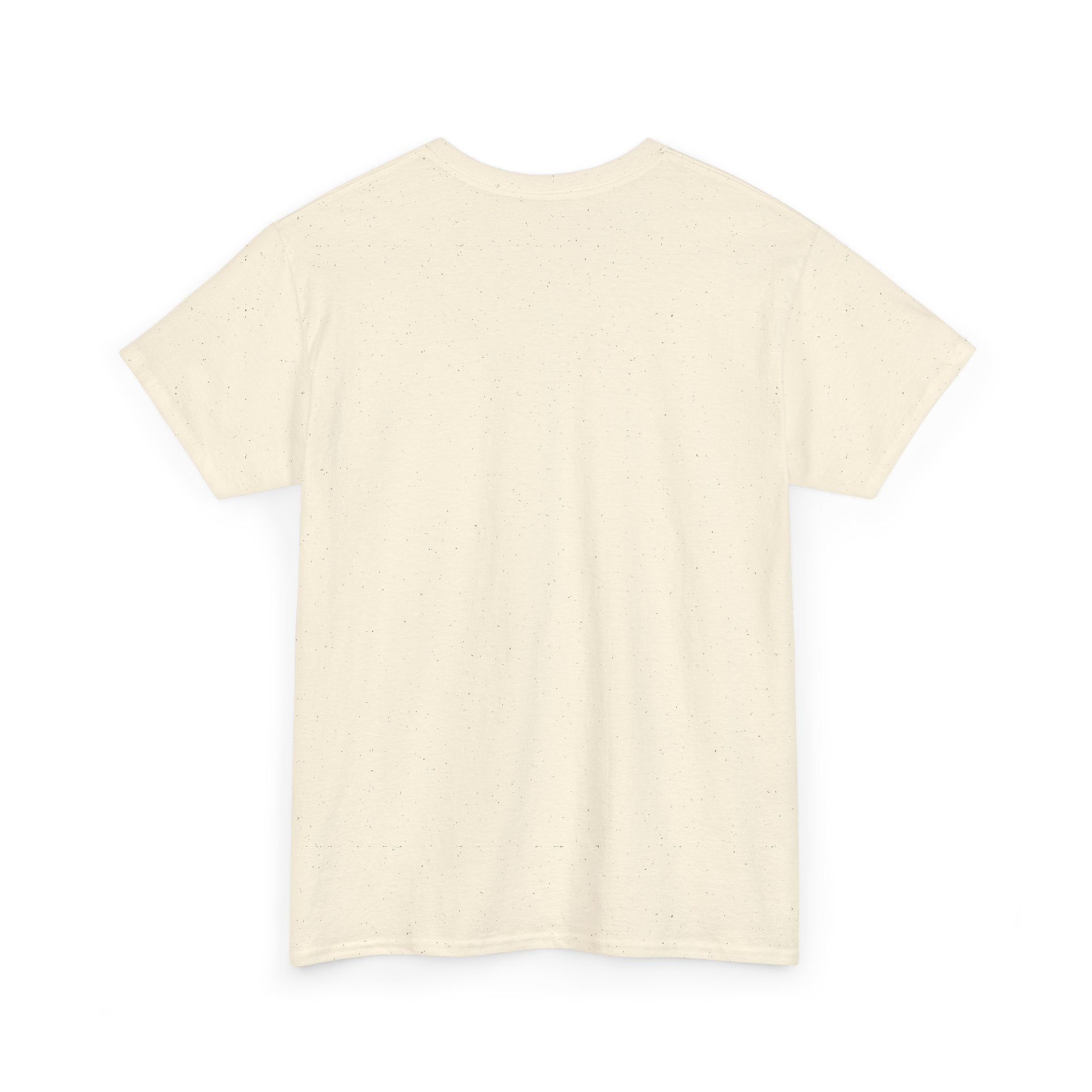 Branson Missouri T‑Shirt — "I Found Joy in Branson" Souvenir Tee