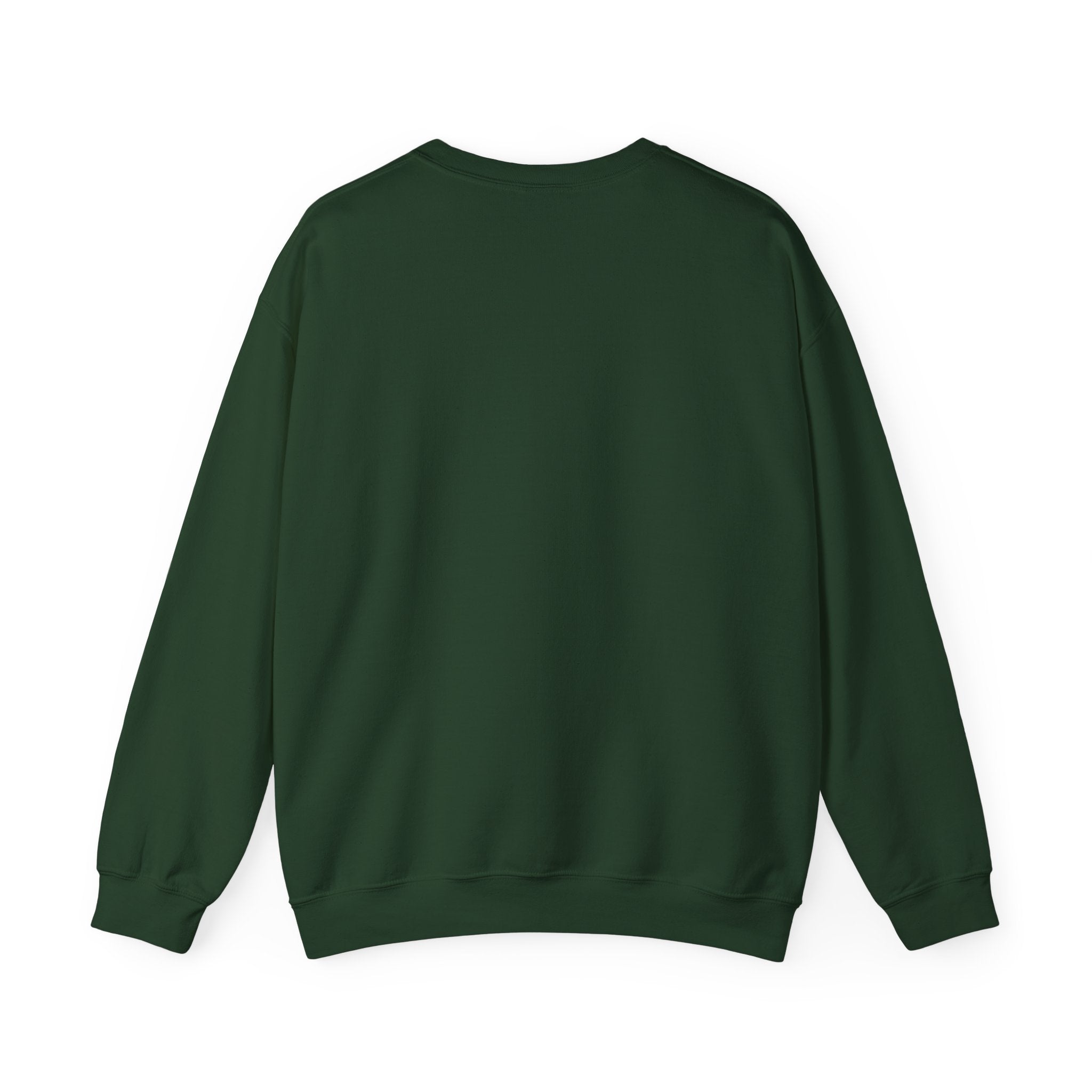 Revere Beach Sweatshirt — “I Found Joy on Revere Beach” Travel Souvenir Crewneck