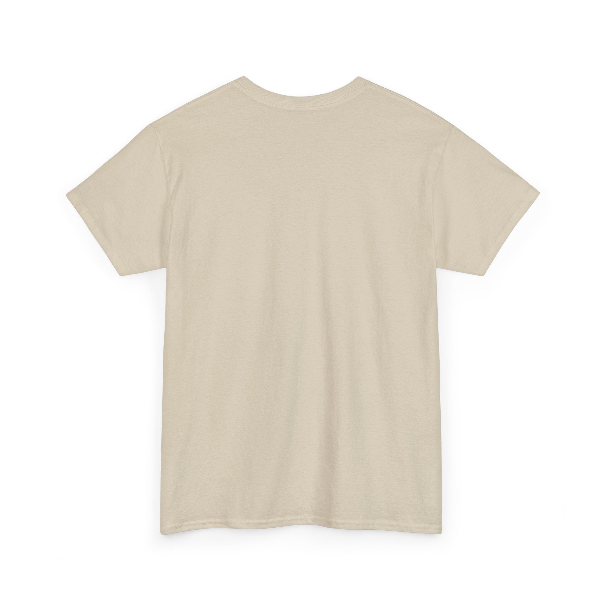 Branson Missouri T‑Shirt — "I Found Joy in Branson" Souvenir Tee
