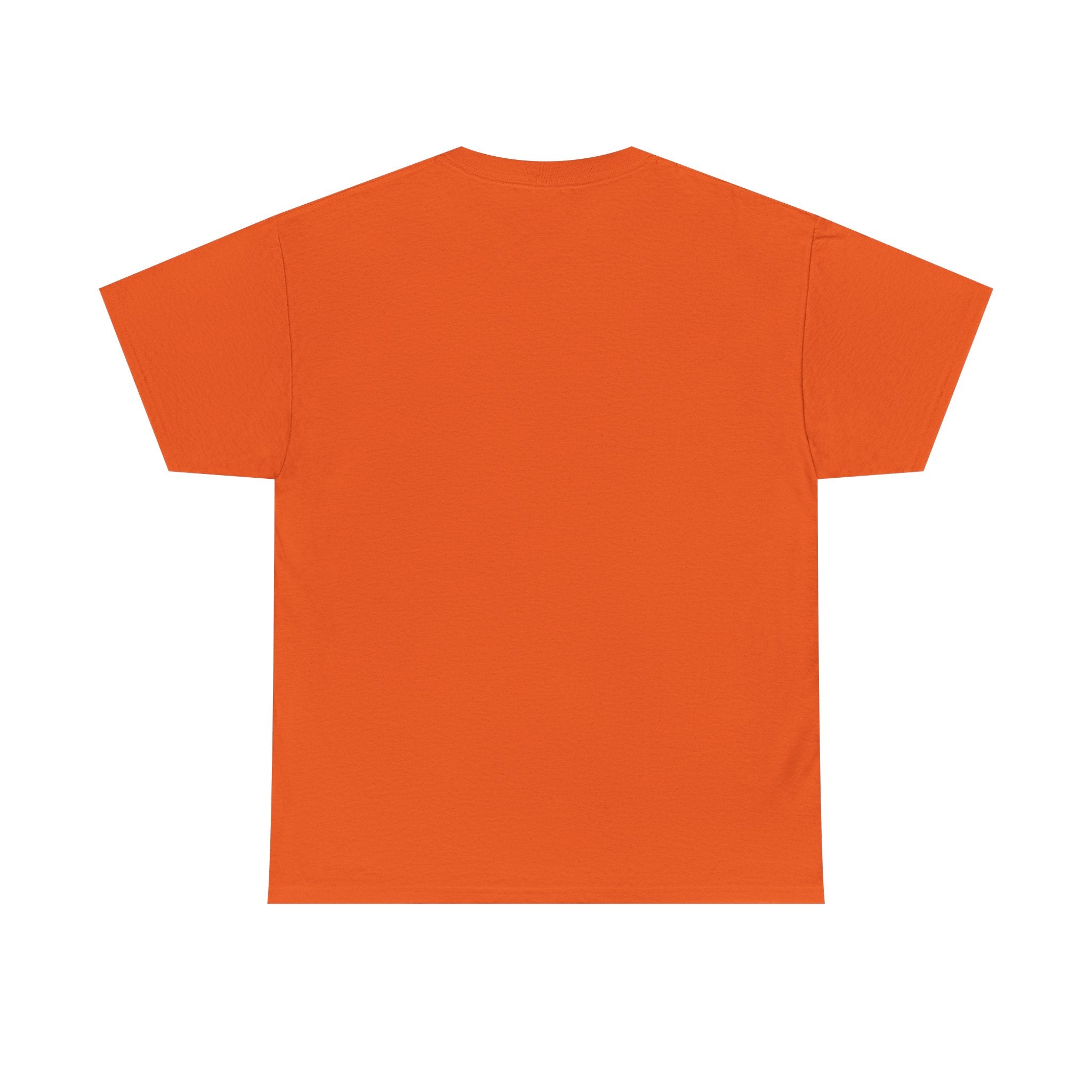Branson Missouri T‑Shirt — "I Found Joy in Branson" Souvenir Tee