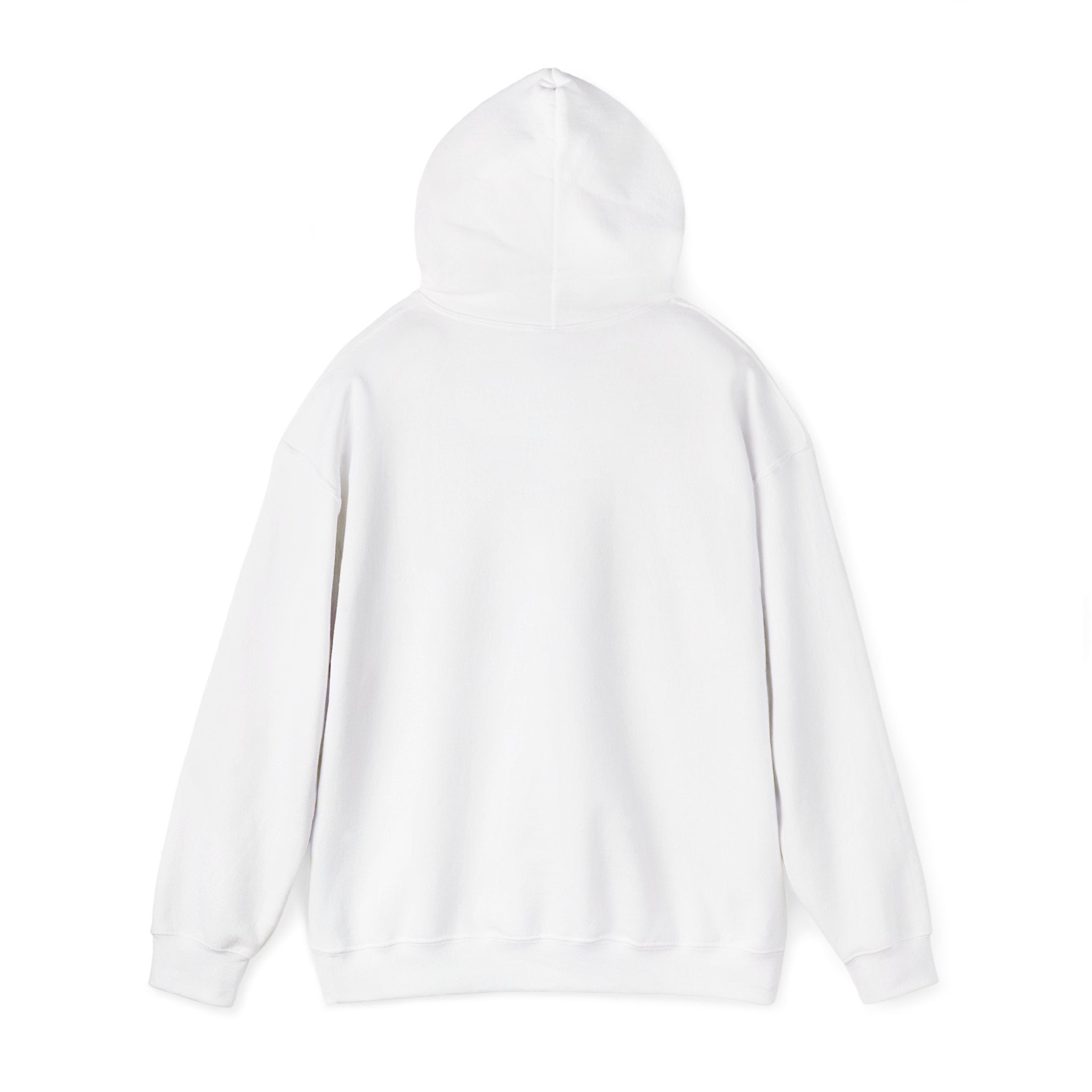 I Found Joy In Branson Hoodie — Inspirational Travel Souvenir Sweatshirt
